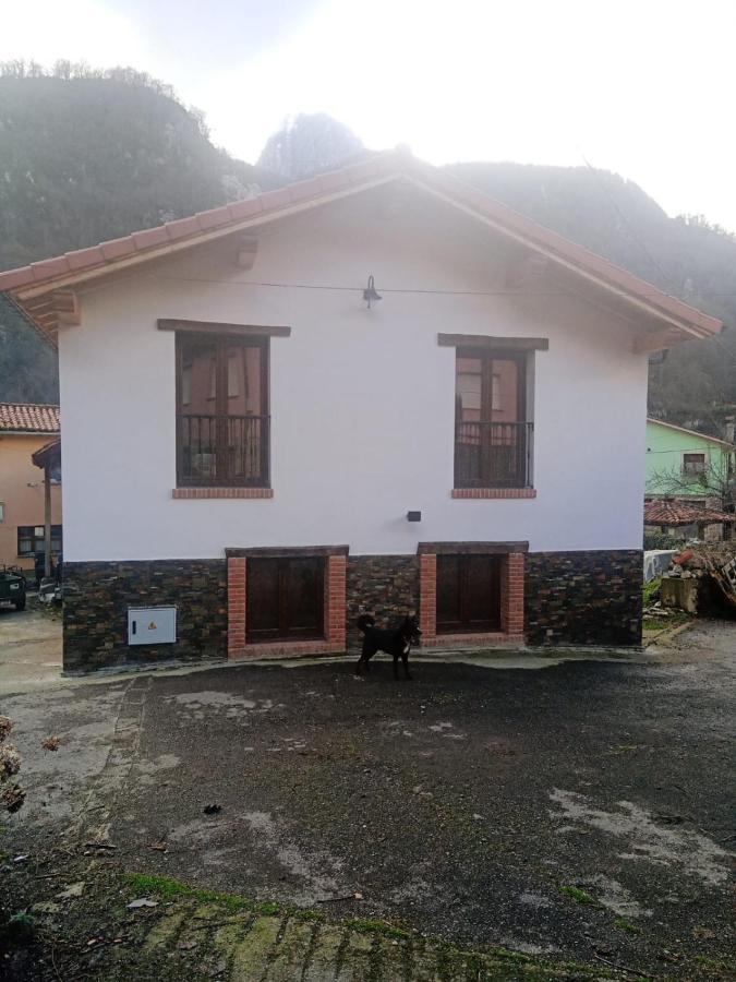 Casa Rural Gueilones, Parque Natural De Ponga Sobrefoz Buitenkant foto